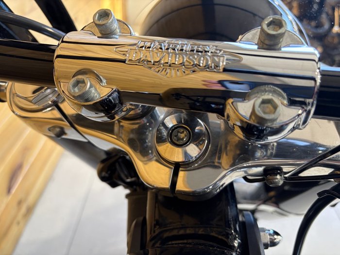 2018 HARLEY-DAVIDSON FLSL SOFTAIL SLIM