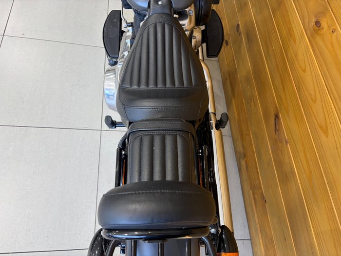 2018 HARLEY-DAVIDSON FLSL SOFTAIL SLIM