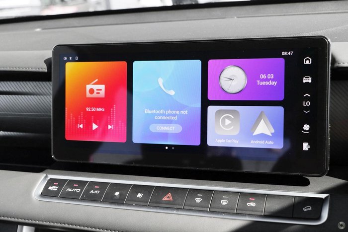 2025 GWM Cannon Premium