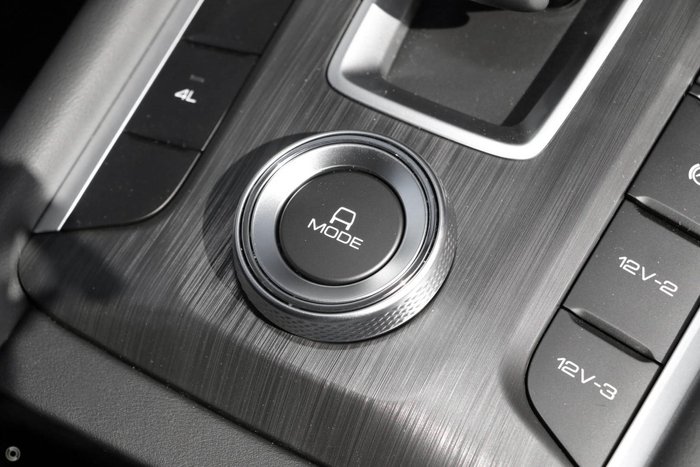 2025 GWM Cannon Premium