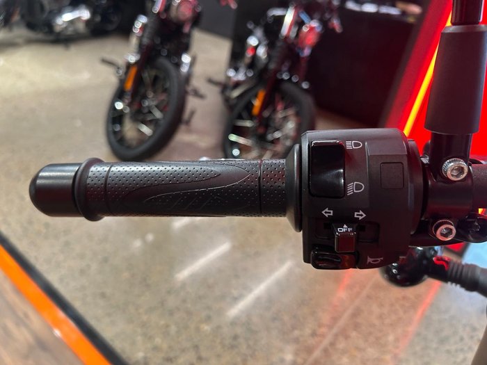 2024 Harley-Davidson X 500 X Orange