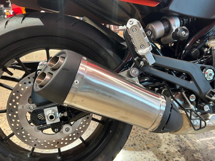 2024 Harley-Davidson X 500 X Orange