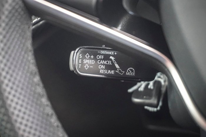 2025 SKODA Fabia 110TSI Monte Carlo