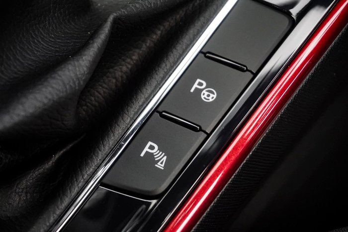 2025 SKODA Fabia 110TSI Monte Carlo