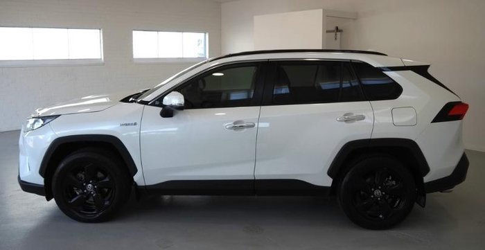 2020 Toyota RAV4 Cruiser