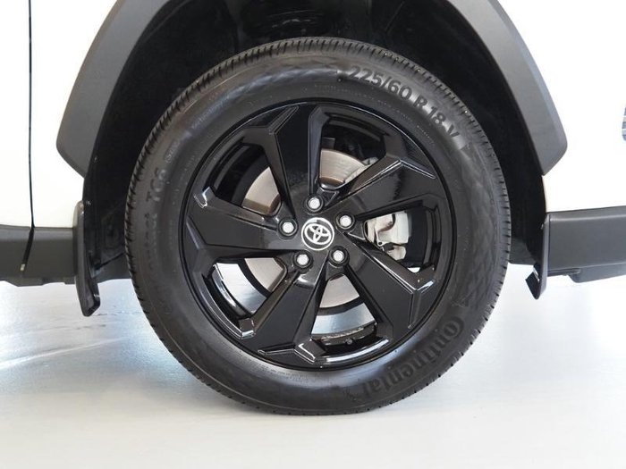 2020 Toyota RAV4 Cruiser