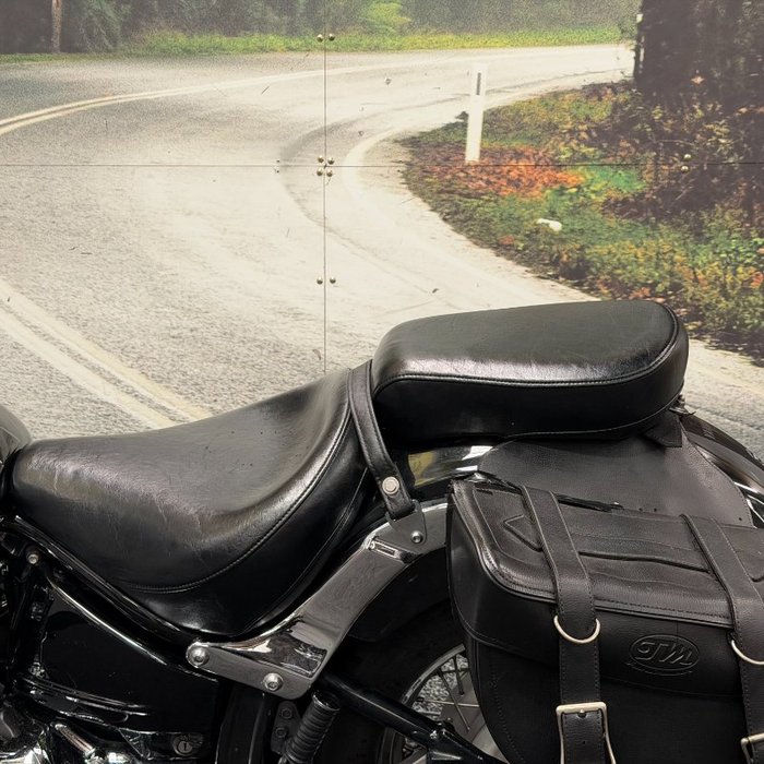 2014 Yamaha XVS650A V-STAR CLASSIC