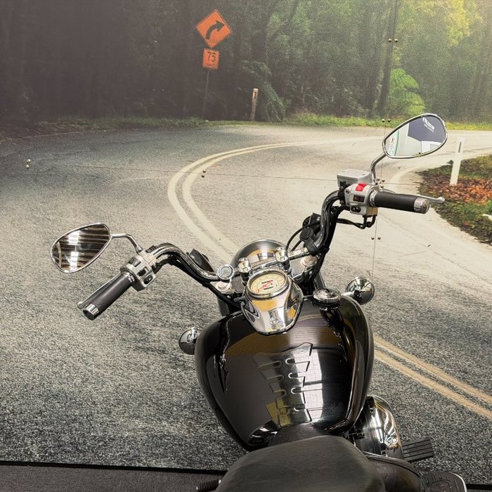 2014 Yamaha XVS650A V-STAR CLASSIC