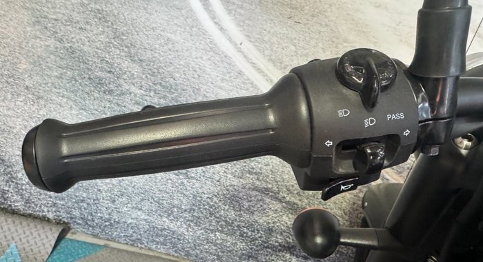 2024 Royal Enfield CLASSIC 350 DARK Black