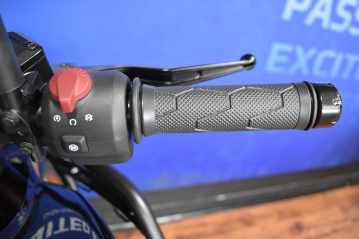 2025 Royal Enfield HIMALAYAN 450 BLACK/GOLD