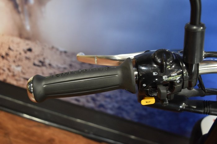 2025 Royal Enfield BEAR 650 White