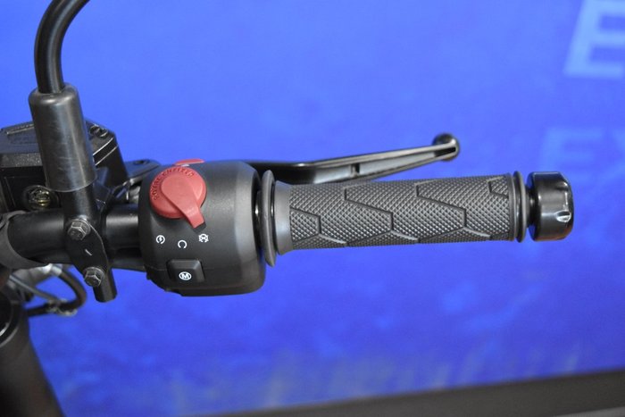 2025 Royal Enfield GUERILLA 450 Black