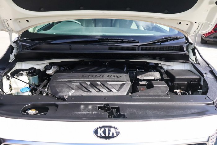 2019 Kia Carnival S