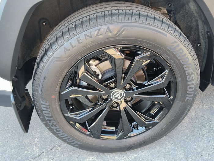 2024 Toyota RAV4 Cruiser