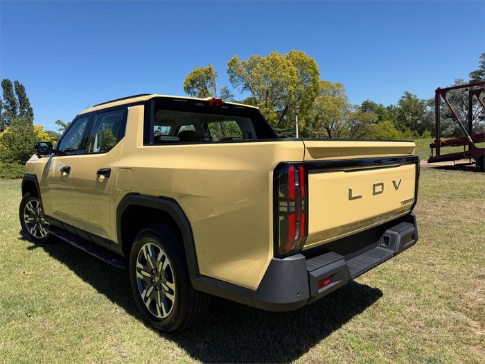 2025 LDV TERRON 9 EVOLVE