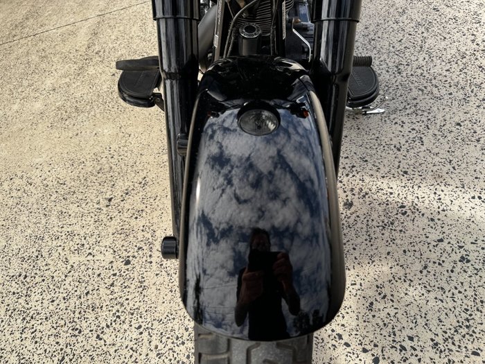 2017 HARLEY-DAVIDSON FLSS SOFTAIL SLIM S