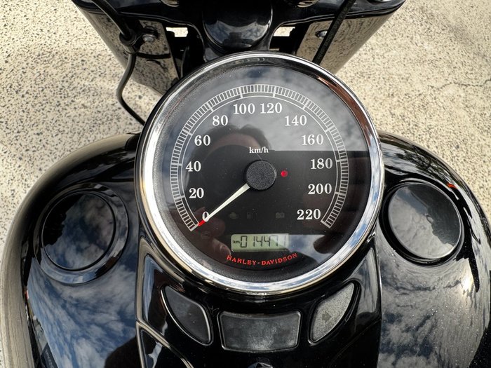 2017 HARLEY-DAVIDSON FLSS SOFTAIL SLIM S