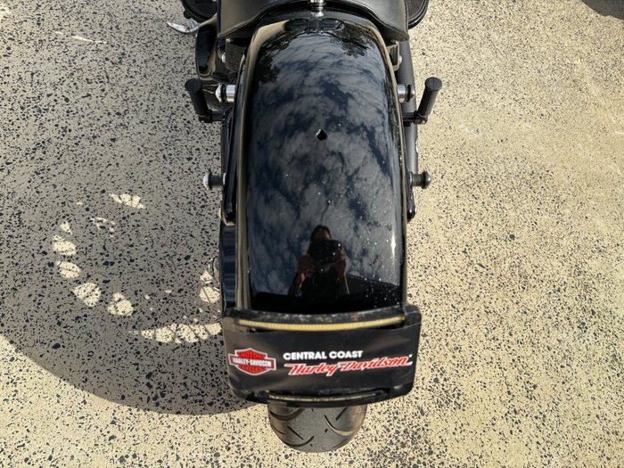 2017 HARLEY-DAVIDSON FLSS SOFTAIL SLIM S