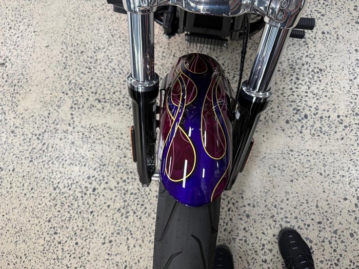 2025 Harley-Davidson Breakout 117 (FXBR) Softail