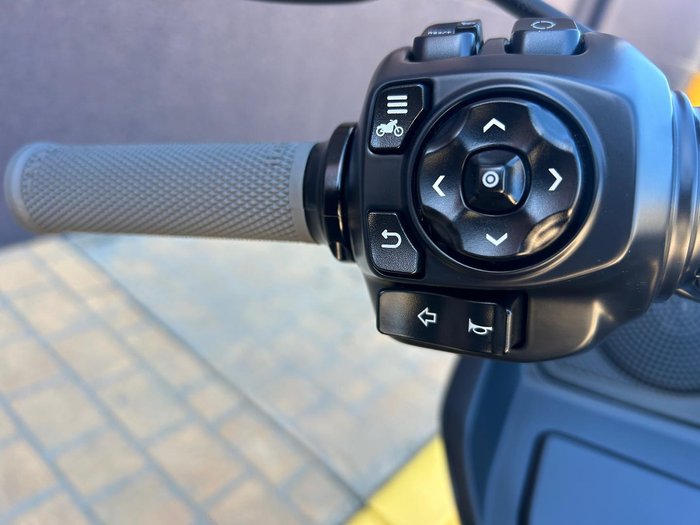 2025 Harley-Davidson Road Glide 117 (FLTRX) Touring Black