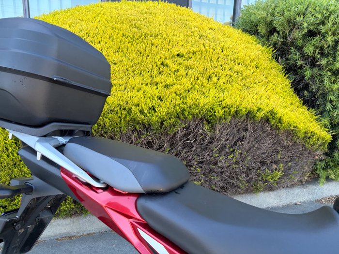 2025 Suzuki V-STROM 250SX (DS250RL)