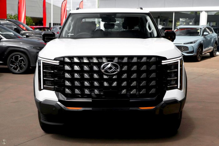 2025 LDV Terron 9 Evolve