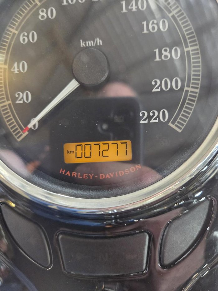 2017 Harley-Davidson Softail Slim S (FLSS)