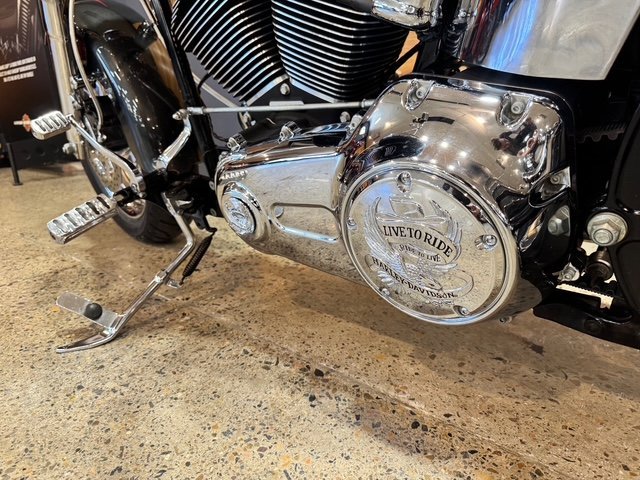 2008 HARLEY-DAVIDSON FLSTF FAT BOY