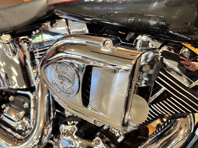 2008 HARLEY-DAVIDSON FLSTF FAT BOY