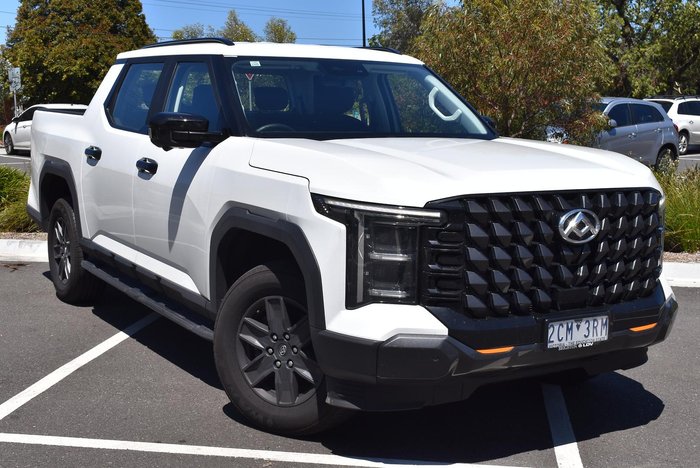 2025 LDV Terron 9