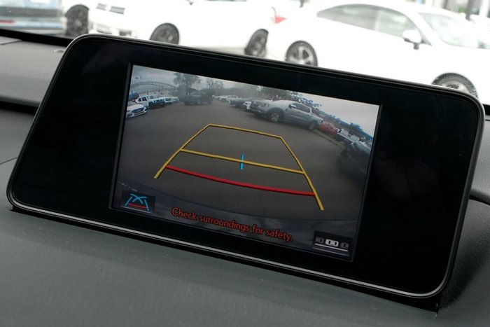 2019 Lexus RX RX300 Luxury