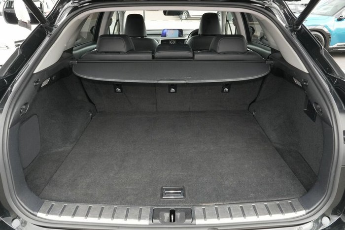 2019 Lexus RX RX300 Luxury
