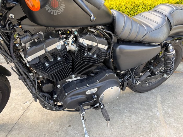 2020 HARLEY-DAVIDSON XL883N IRON 883 Black