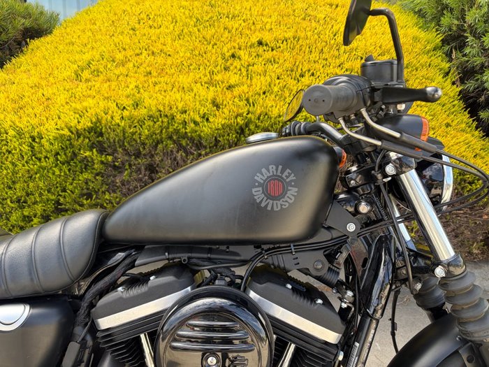 2020 HARLEY-DAVIDSON XL883N IRON 883 Black