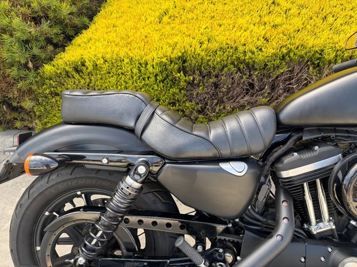 2020 HARLEY-DAVIDSON XL883N IRON 883 Black