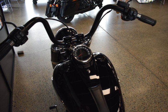 2020 HARLEY-DAVIDSON FLSL SOFTAIL SLIM (107)