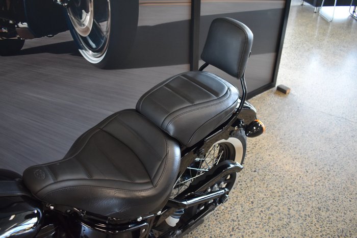 2020 HARLEY-DAVIDSON FLSL SOFTAIL SLIM (107)