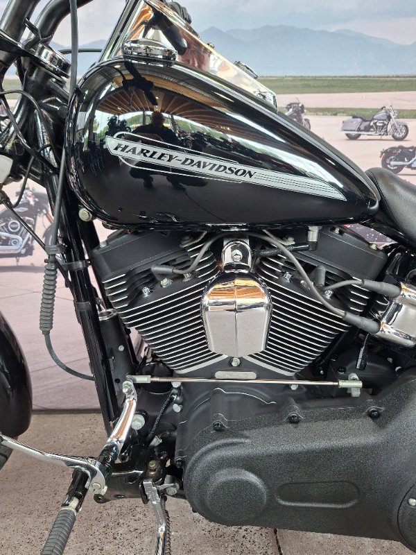 2013 HARLEY-DAVIDSON FXST SOFTAIL STANDARD