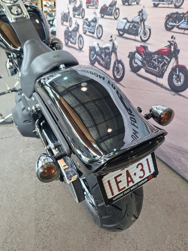 2013 HARLEY-DAVIDSON FXST SOFTAIL STANDARD