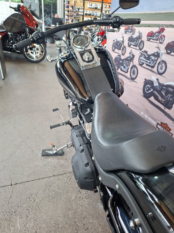2013 HARLEY-DAVIDSON FXST SOFTAIL STANDARD