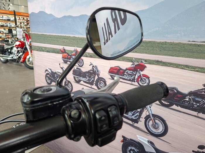 2013 HARLEY-DAVIDSON FXST SOFTAIL STANDARD