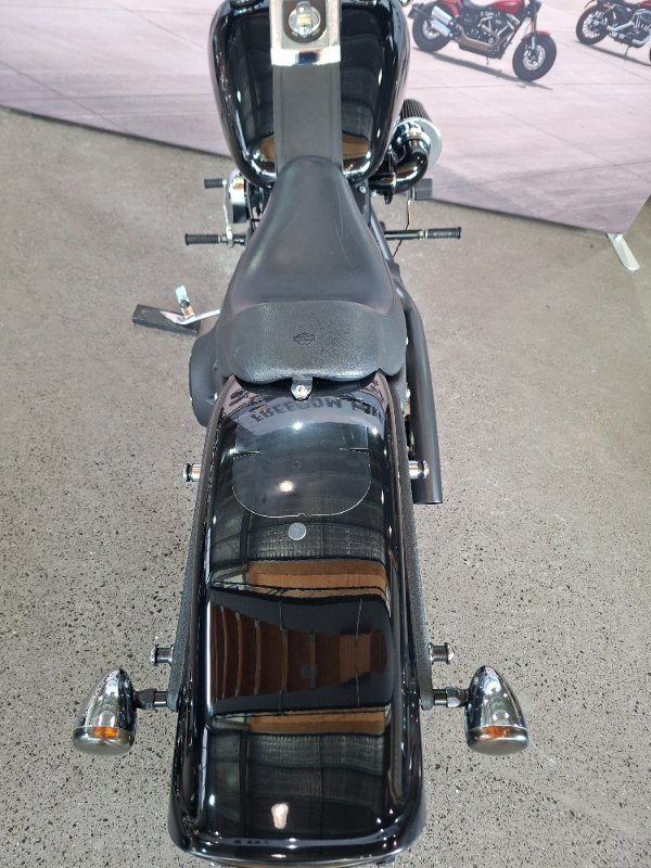 2013 HARLEY-DAVIDSON FXST SOFTAIL STANDARD