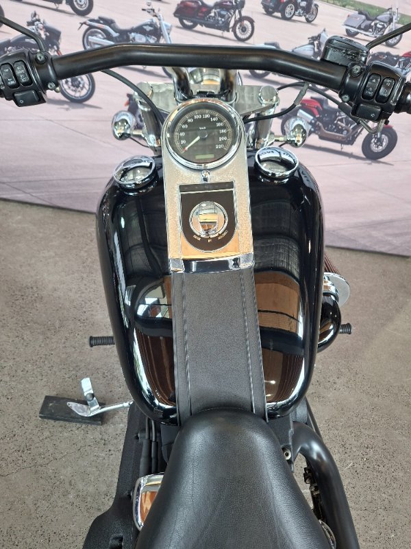 2013 HARLEY-DAVIDSON FXST SOFTAIL STANDARD