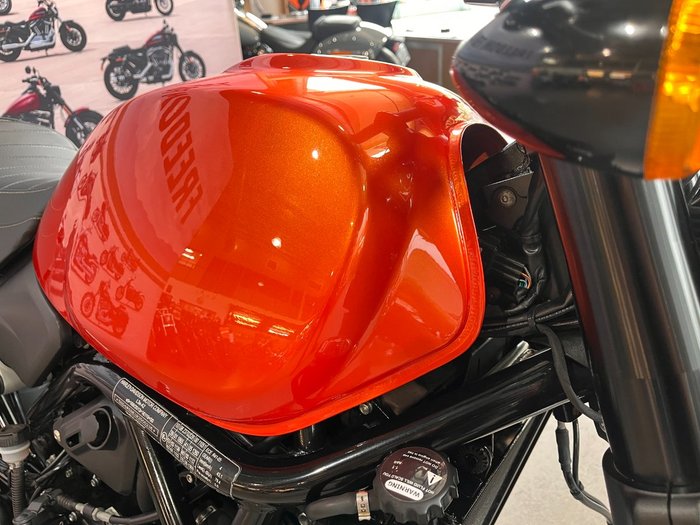 2024 HARLEY-DAVIDSON HD500-10A H-DX X500