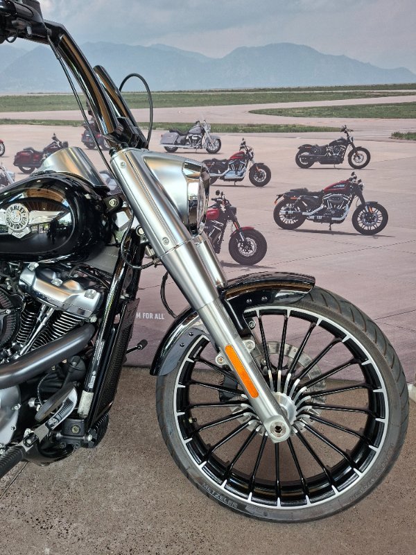 2019 HARLEY-DAVIDSON FLFBS FAT BOY S (114)