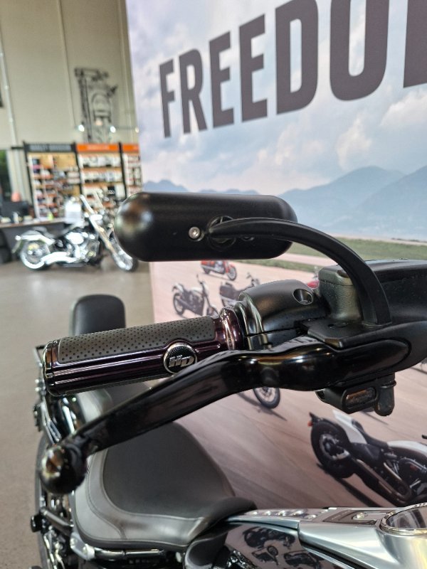 2019 HARLEY-DAVIDSON FLFBS FAT BOY S (114)