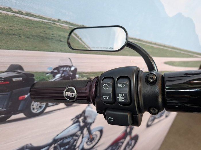 2019 HARLEY-DAVIDSON FLFBS FAT BOY S (114)