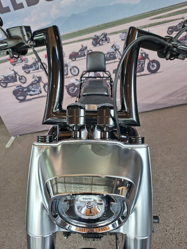 2019 HARLEY-DAVIDSON FLFBS FAT BOY S (114)
