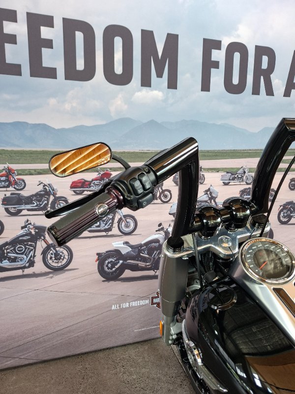 2019 HARLEY-DAVIDSON FLFBS FAT BOY S (114)