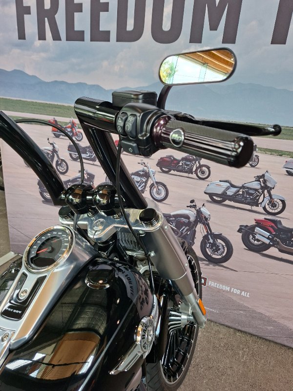 2019 HARLEY-DAVIDSON FLFBS FAT BOY S (114)